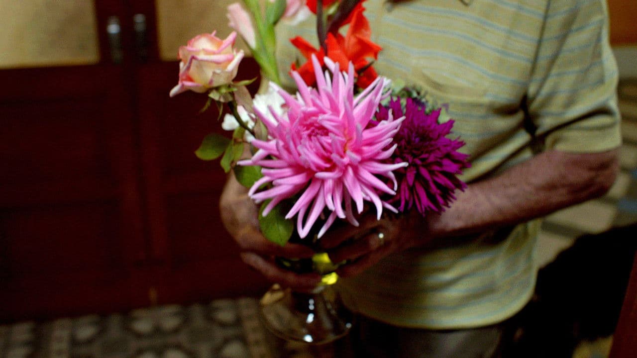 Backdrop – Petit Matin