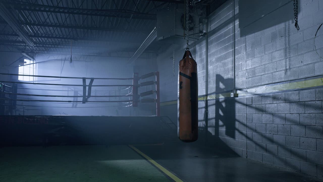 Backdrop – My Fighter