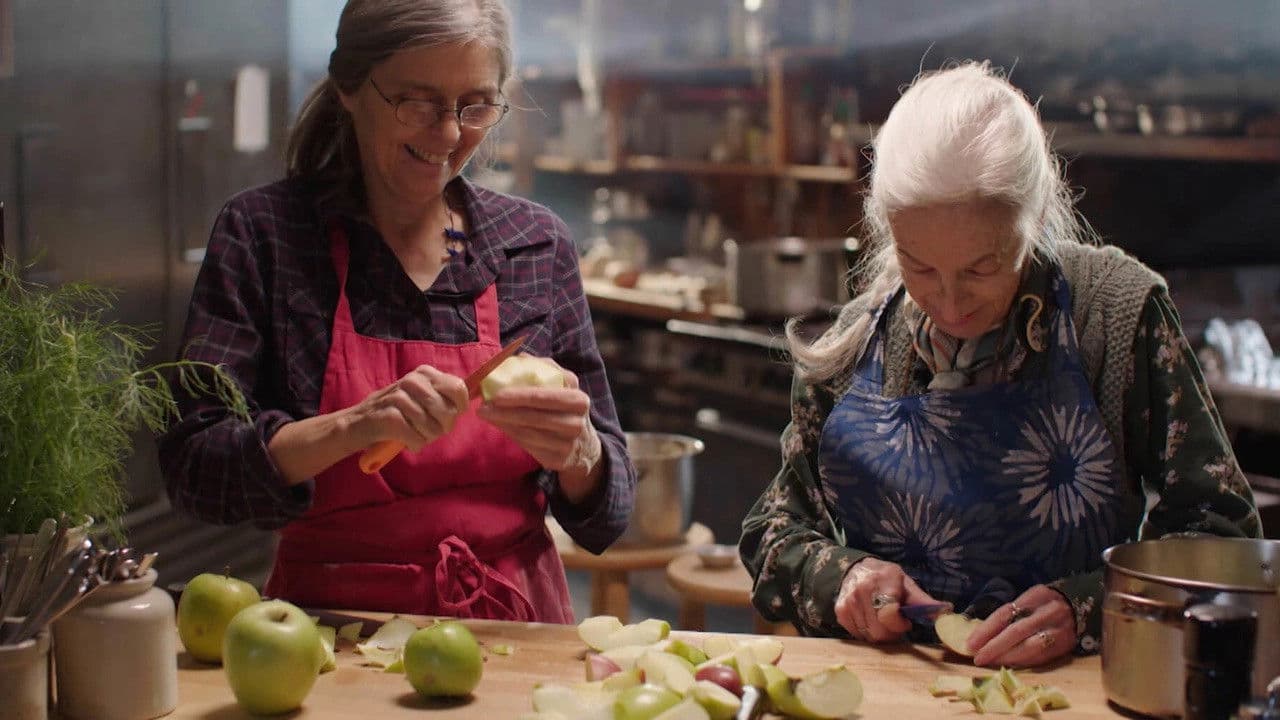 Backdrop – Bloodroot