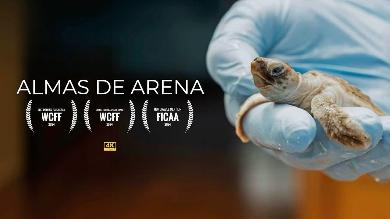 Backdrop – Almas de Arena