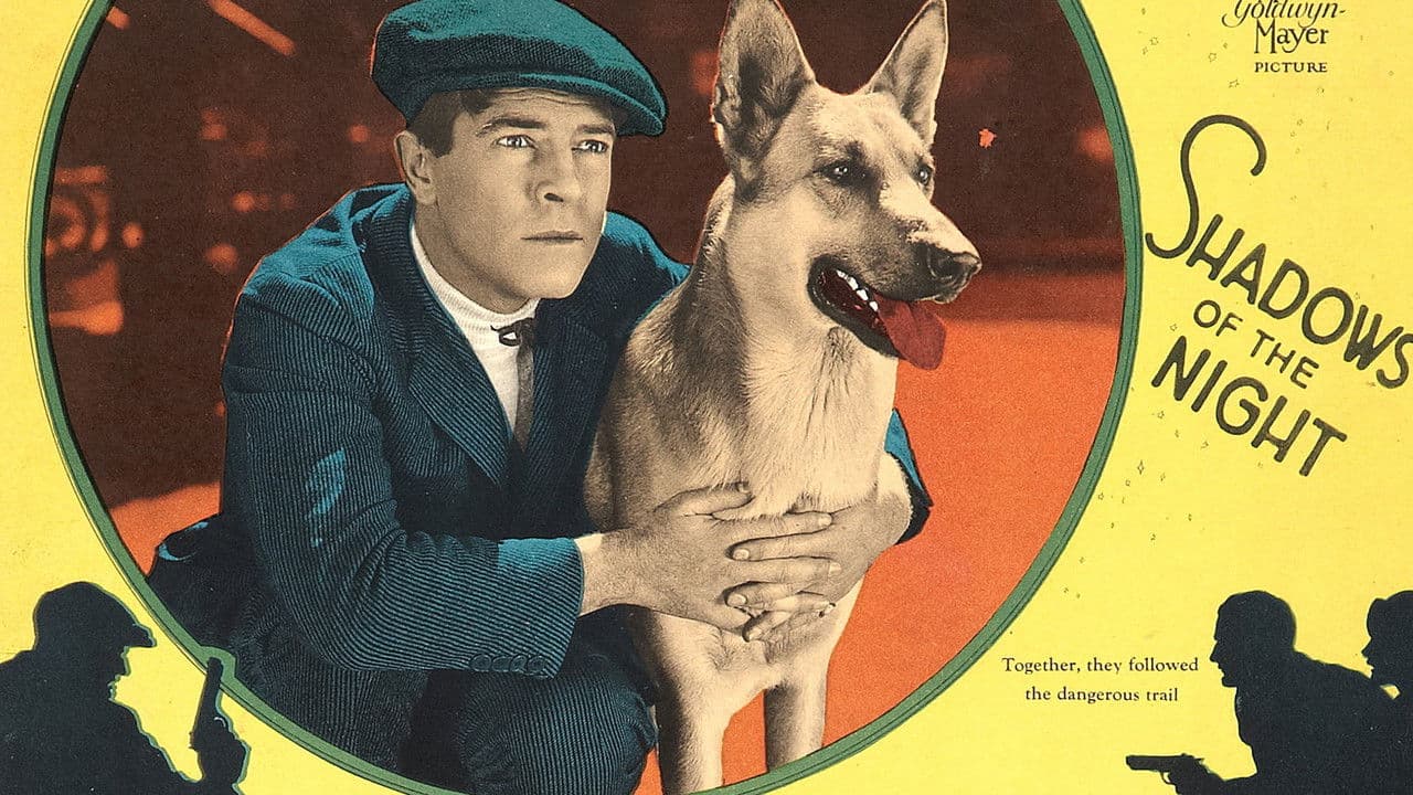 Backdrop – Shadows of the Night