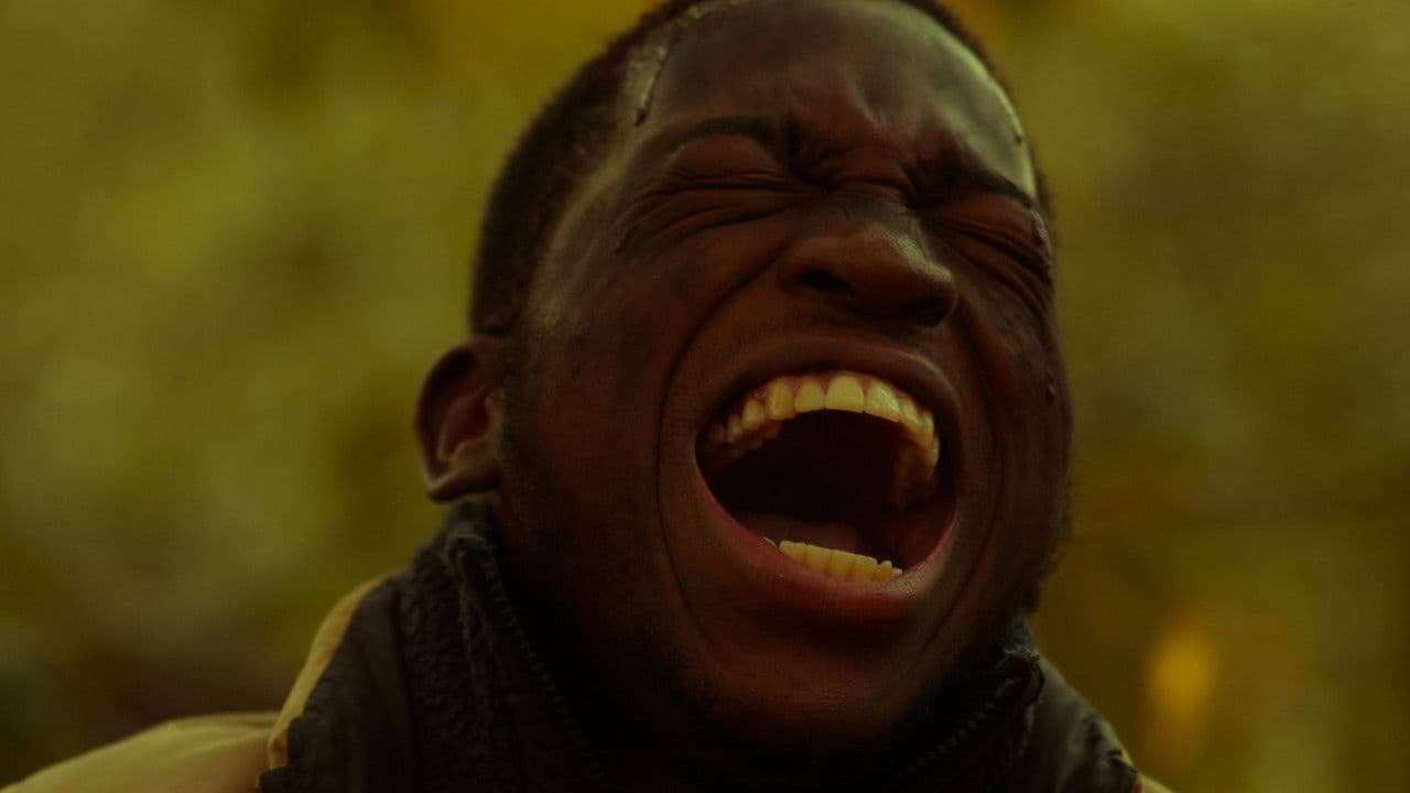 Backdrop – The Darkling Fox