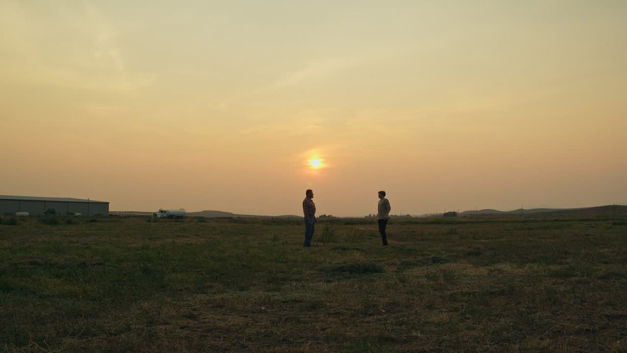 Backdrop – The Summer Field