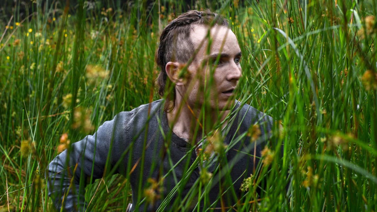 Backdrop – The Survivalist