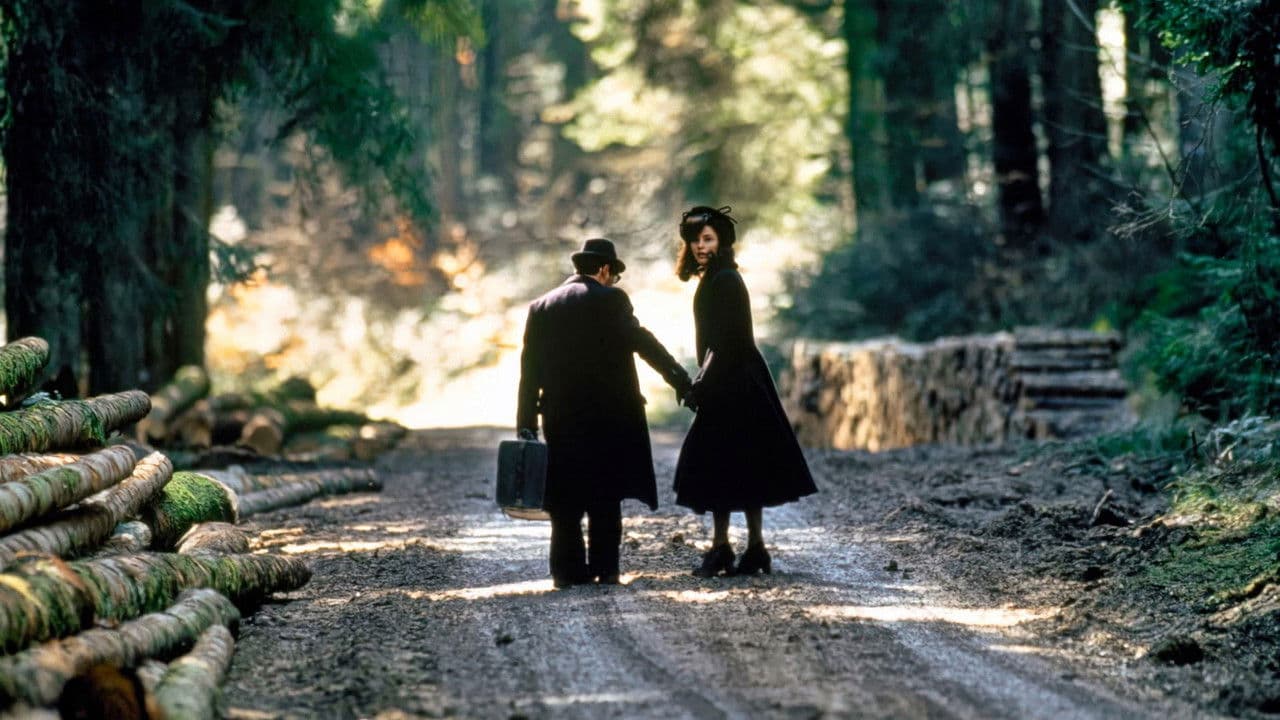 Backdrop – Les Misérables