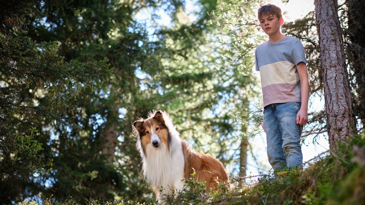 Backdrop – Lassie - Ein neues Abenteuer
