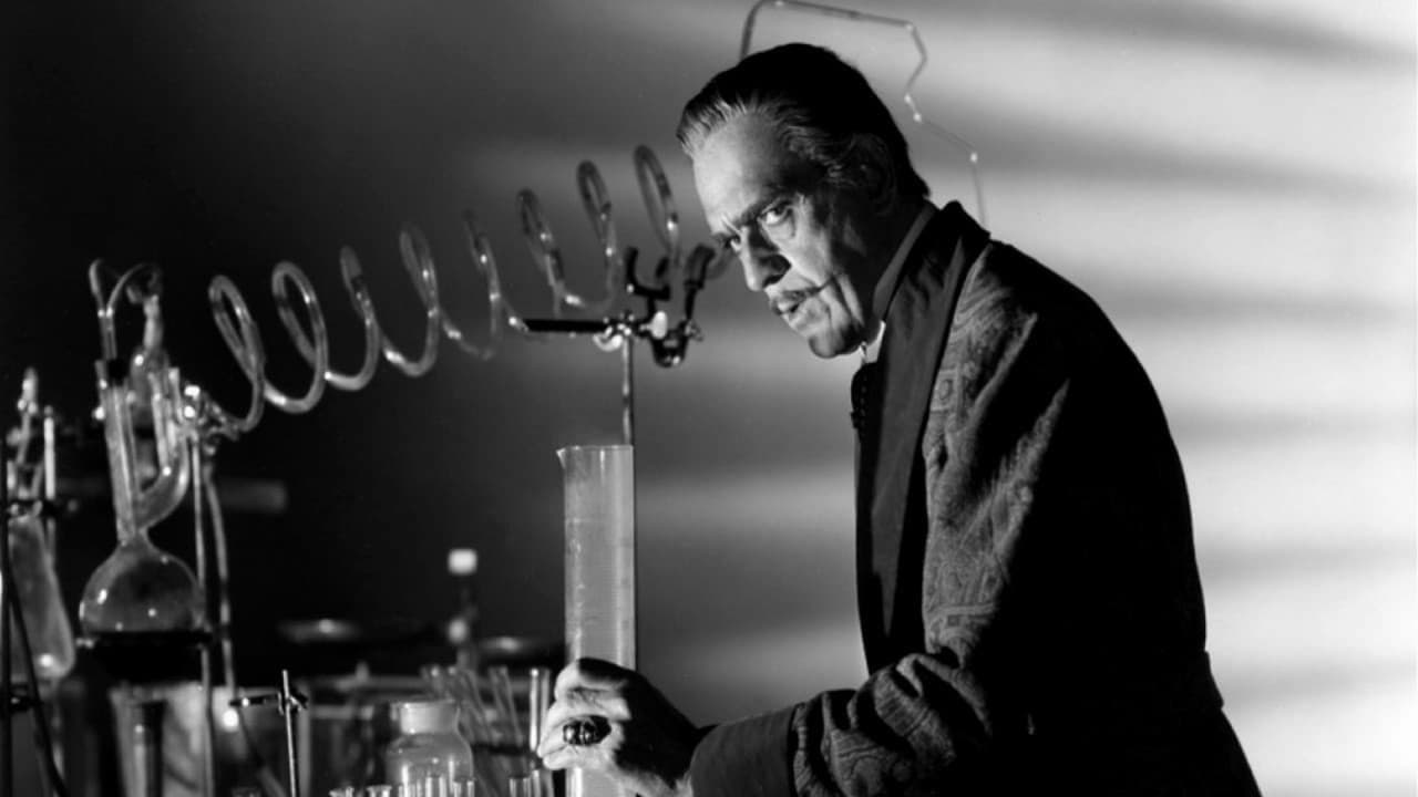 Backdrop – Abbott & Costello treffen Dr. Jekyll & Mr. Hyde