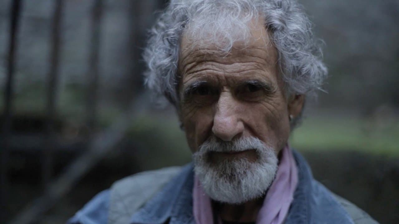 Backdrop – Frank Serpico