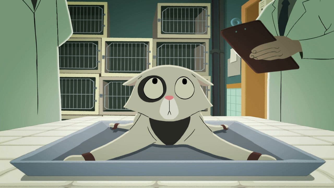 Backdrop – Acoustic Kitty