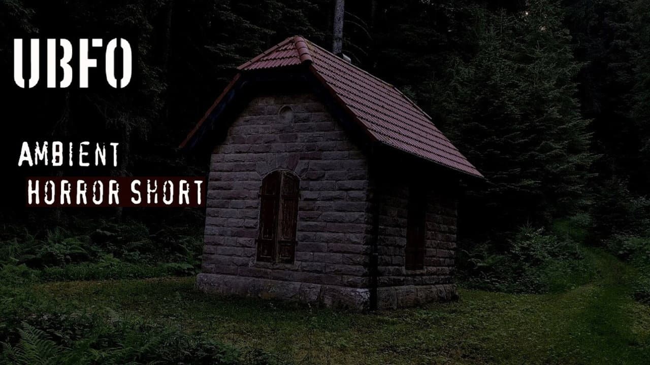 Backdrop – UBFO (Unidentified Black Forest Object)