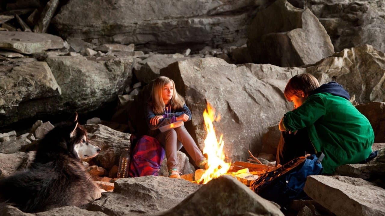 Backdrop – Kleine Helden, große Wildnis