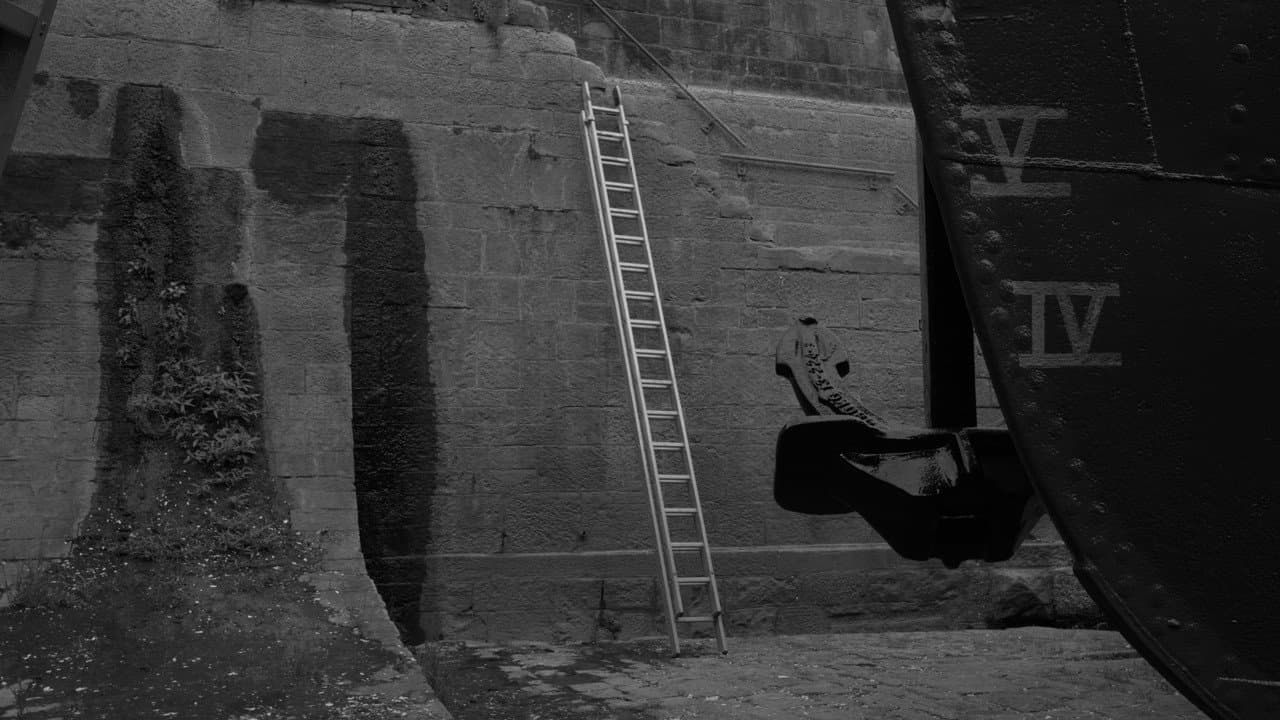 Backdrop – Balmoral