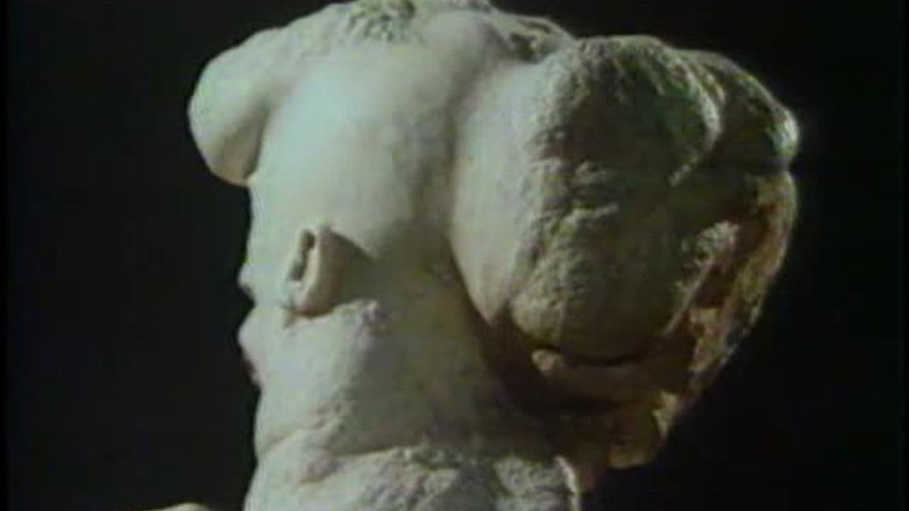 Backdrop – The Skin Horse