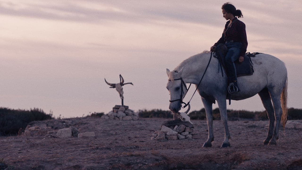 Backdrop – Animale