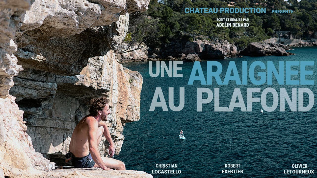 Backdrop – Une Araignée au Plafond