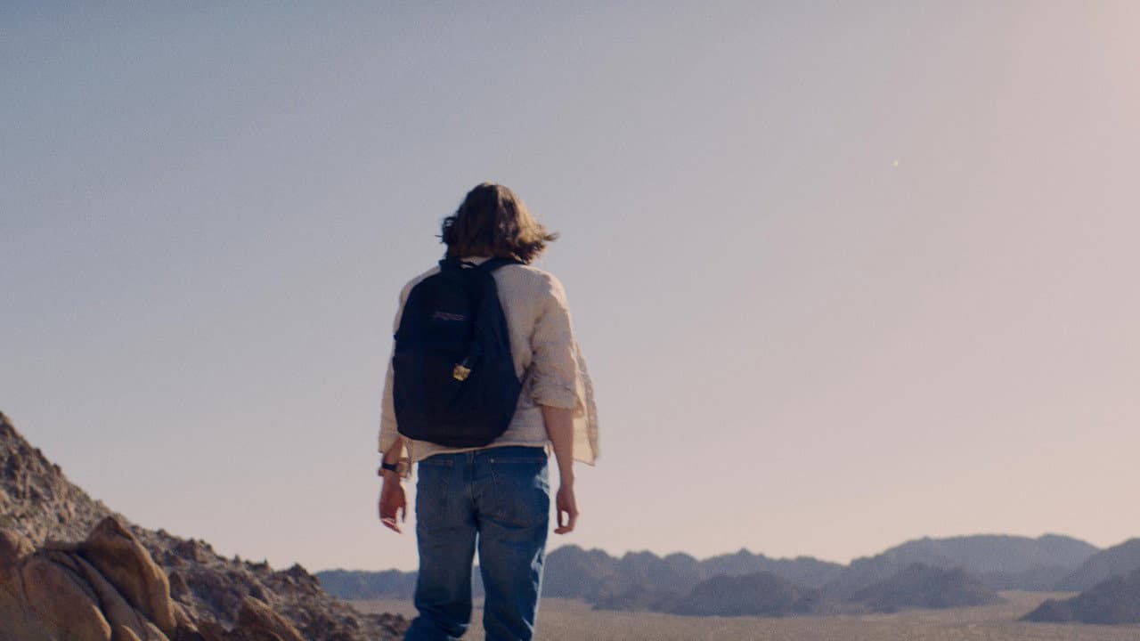 Backdrop – Desert Road