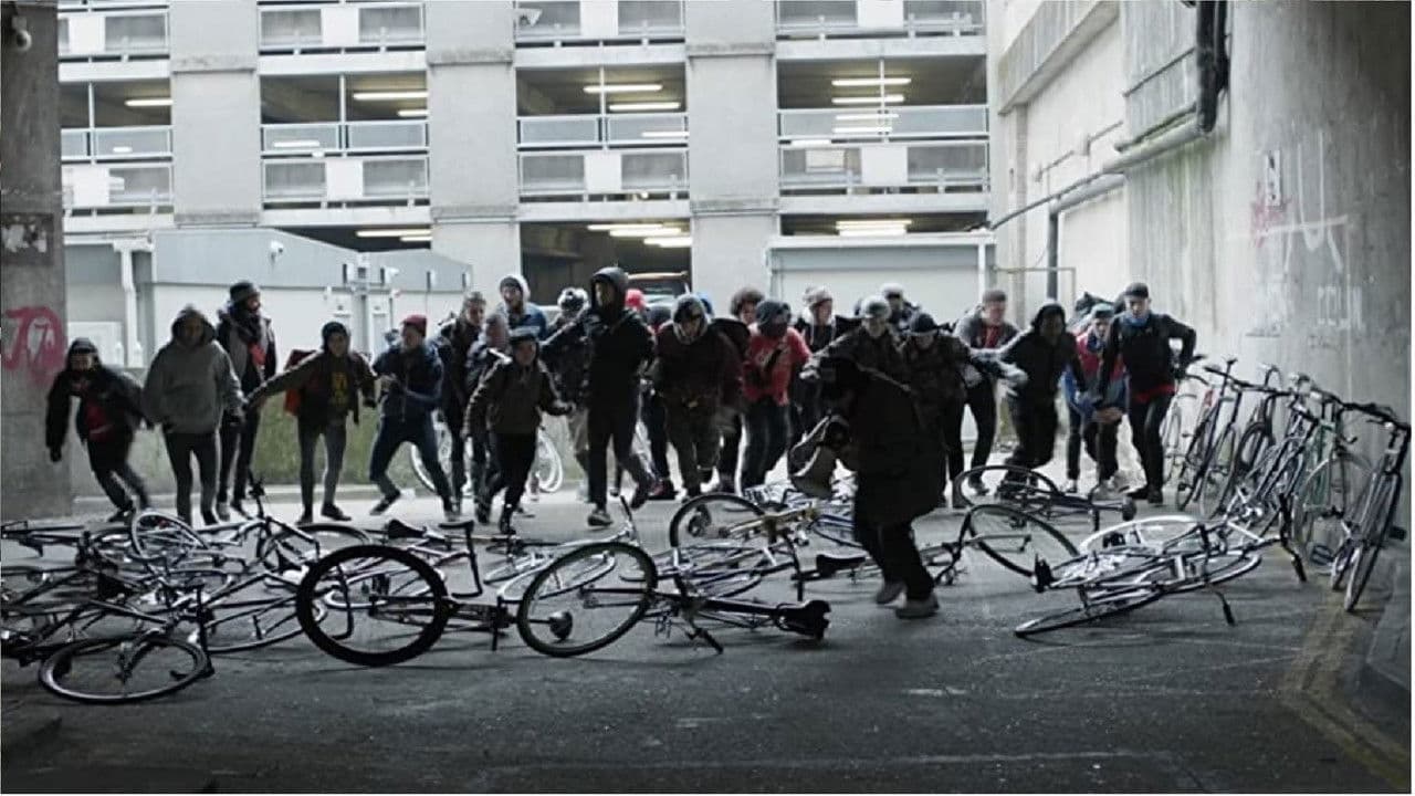 Backdrop – Alleycats