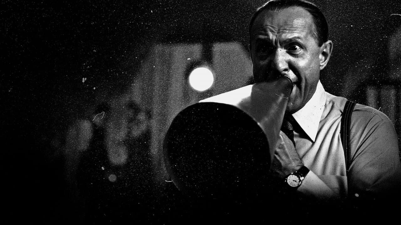 Backdrop – Curtiz