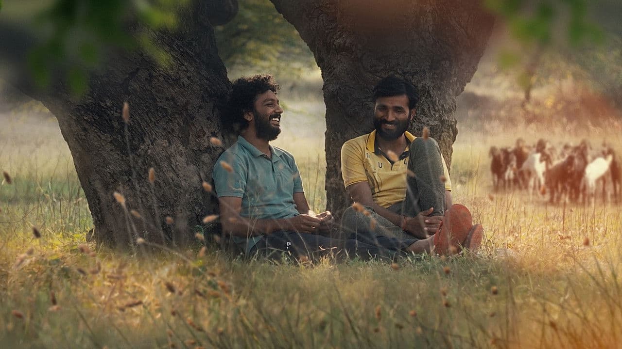 Backdrop – Kaktusfrüchte