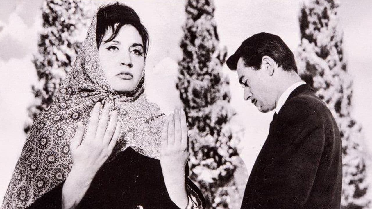 Backdrop – Erkek Ali