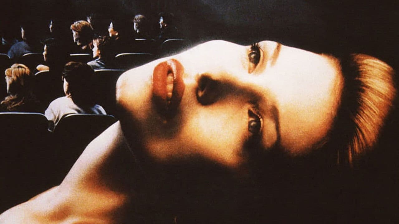 Backdrop – Midnight Matinee