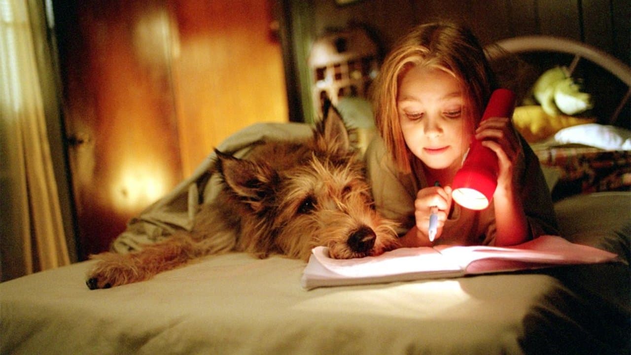 Backdrop – Winn-Dixie - Mein zotteliger Freund