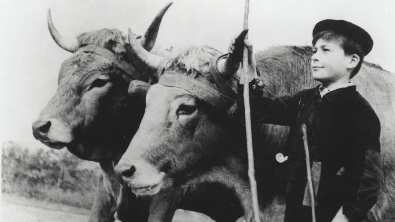 Backdrop – Farrebique ou les Quatre Saisons