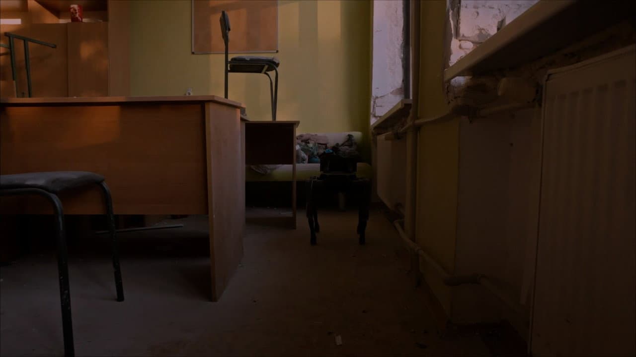 Backdrop – Відкритий світ