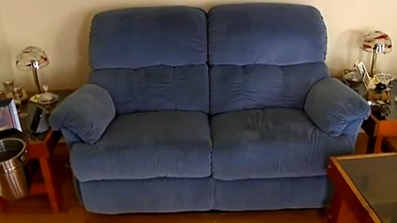 Backdrop – Dindon Sauvage (La dinde noire)