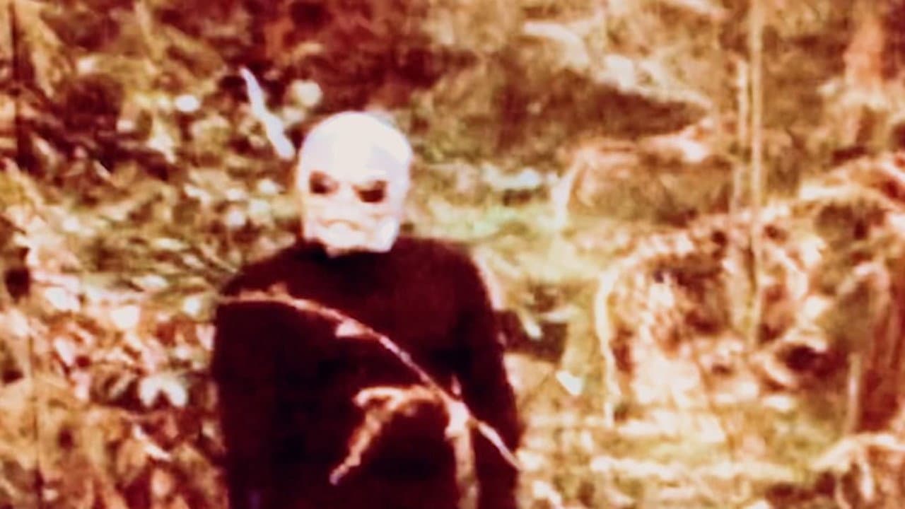 Backdrop – Red Zone