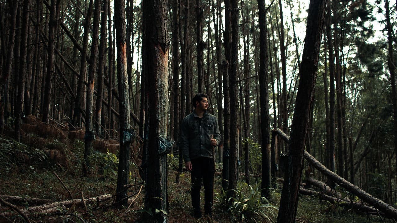 Backdrop – Flesh and Blood