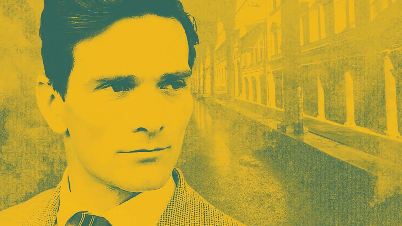 Backdrop – Il giovane corsaro - Pasolini da Bologna
