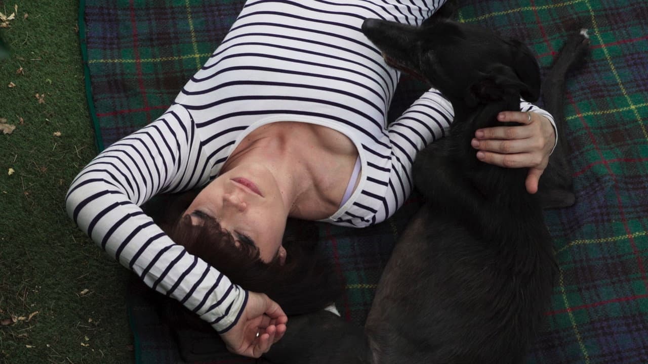 Backdrop – Year of the Dog