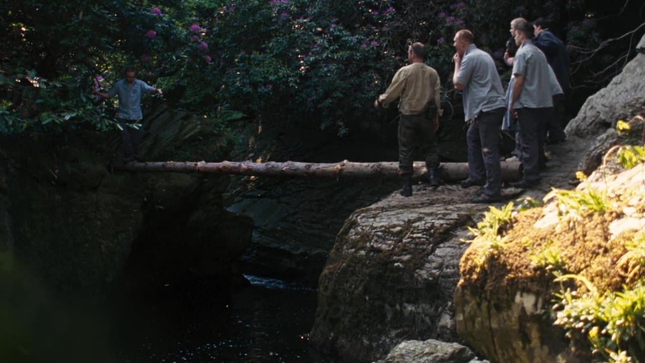 Backdrop – Wilderness