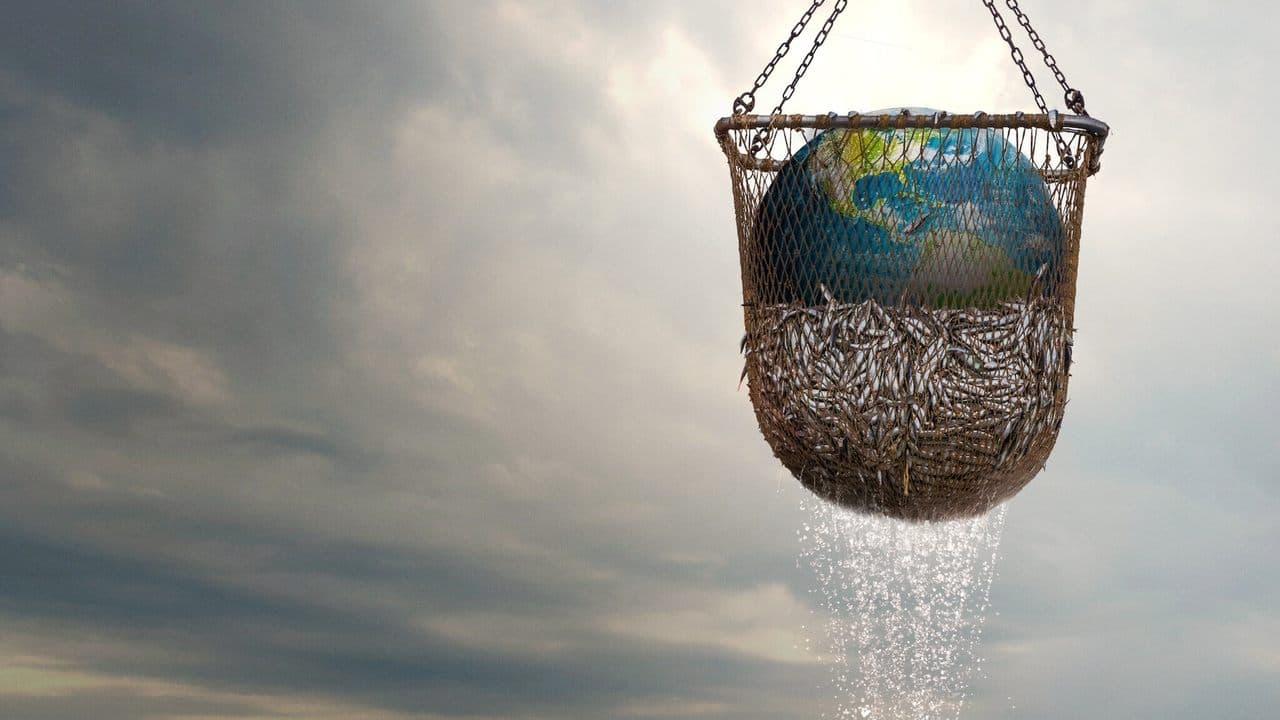 Backdrop – Seaspiracy