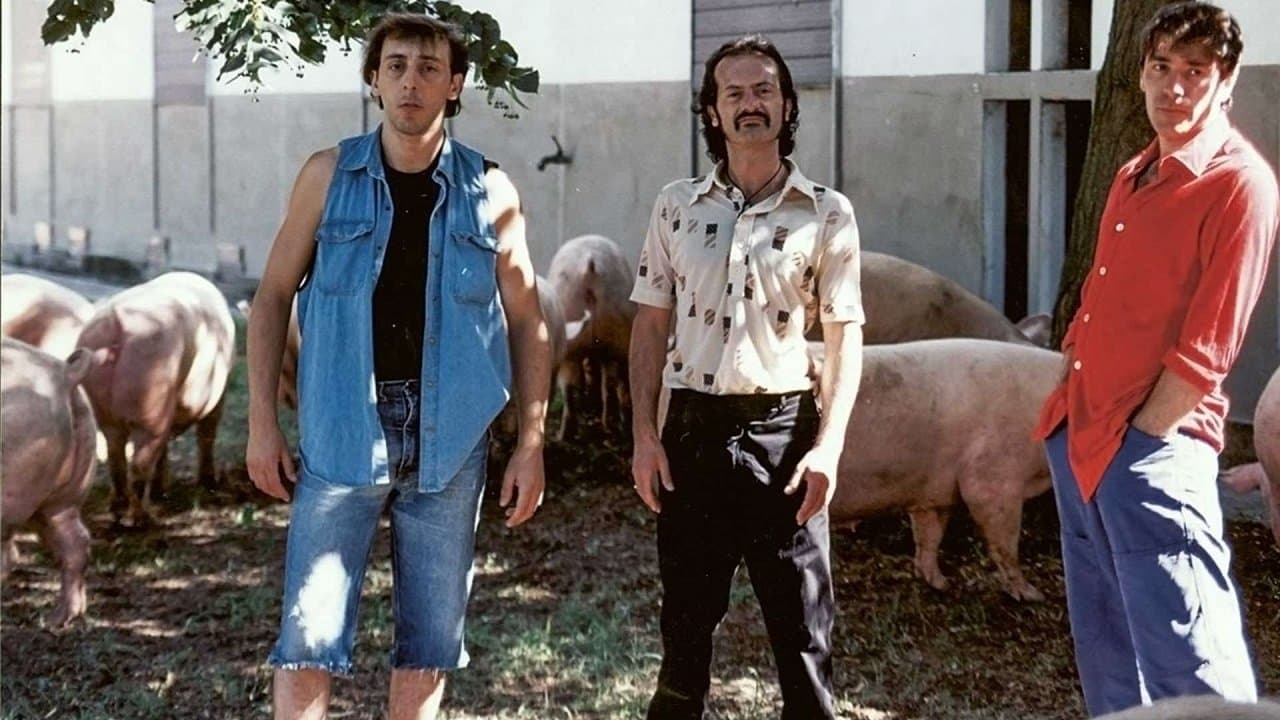 Backdrop – Viola bacia tutti