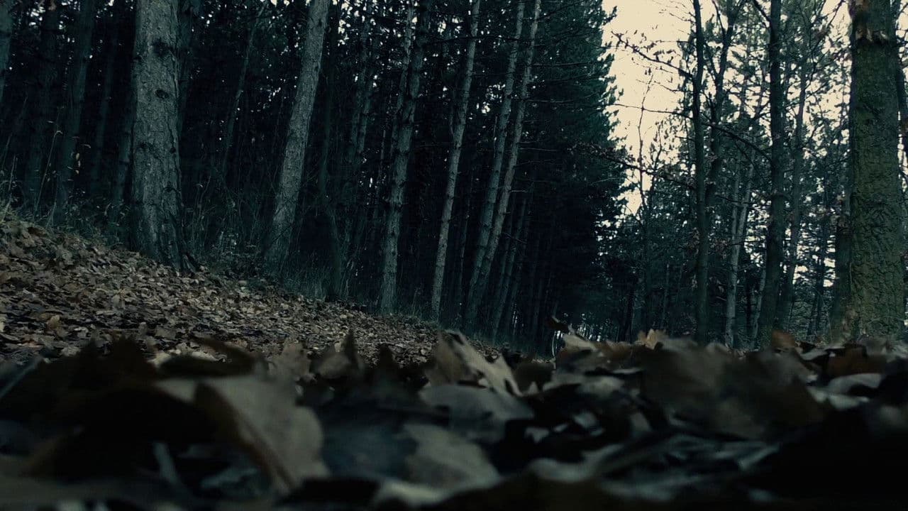 Backdrop – A Molyember incidens