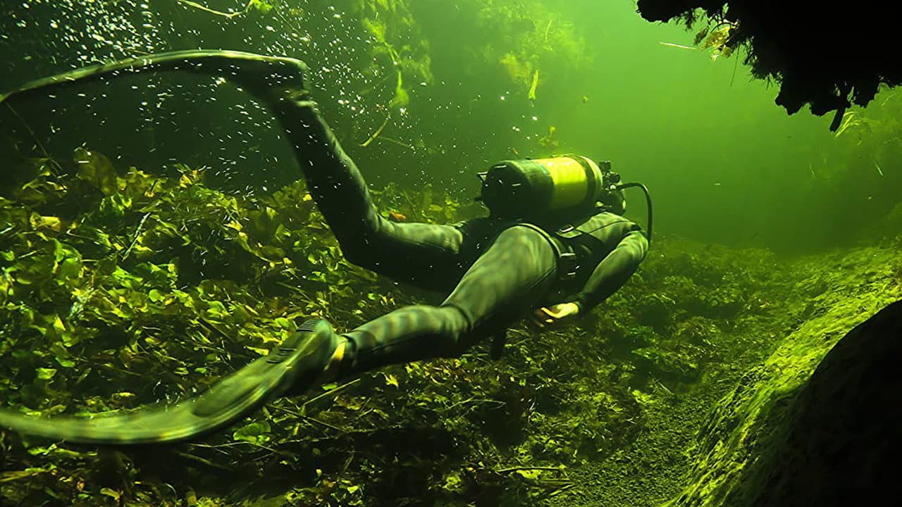 Backdrop – Underwater Okavango