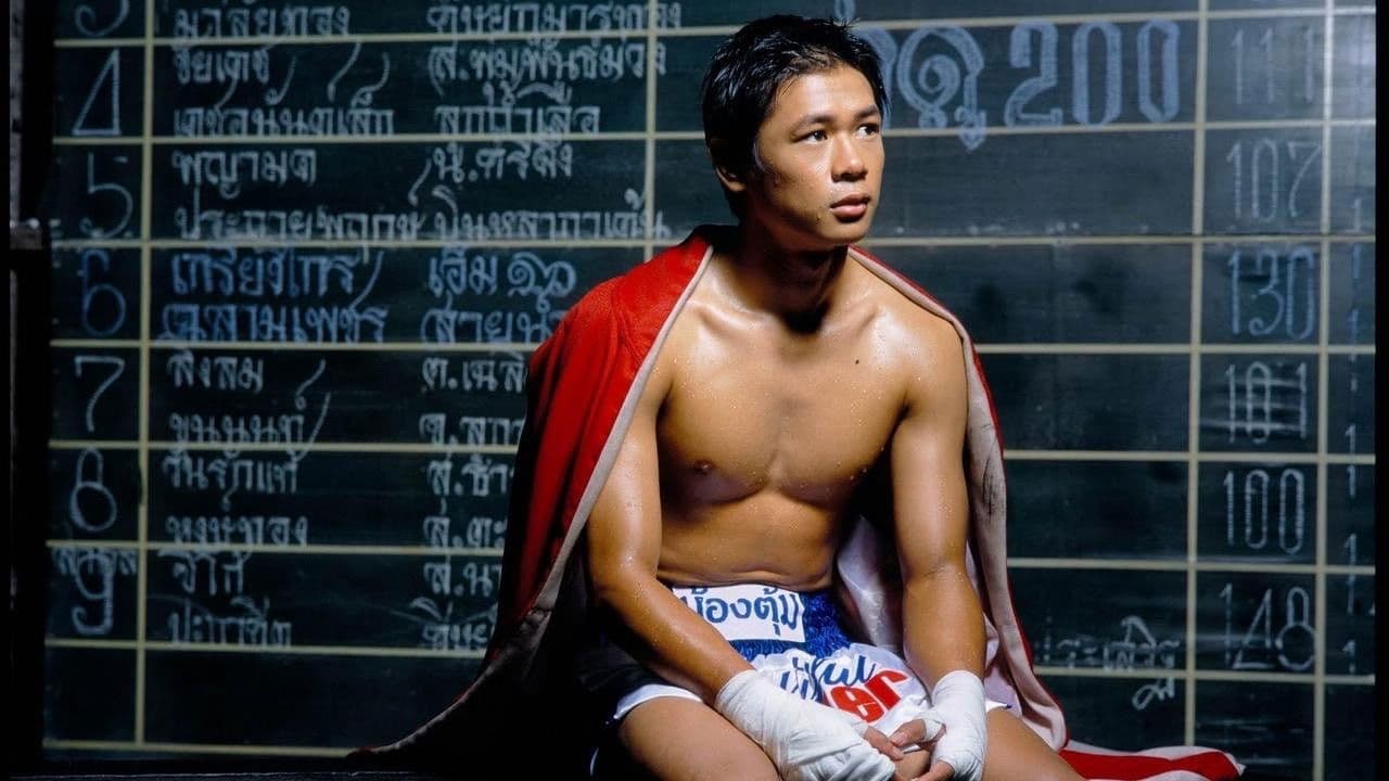 Backdrop – Beautiful Boxer