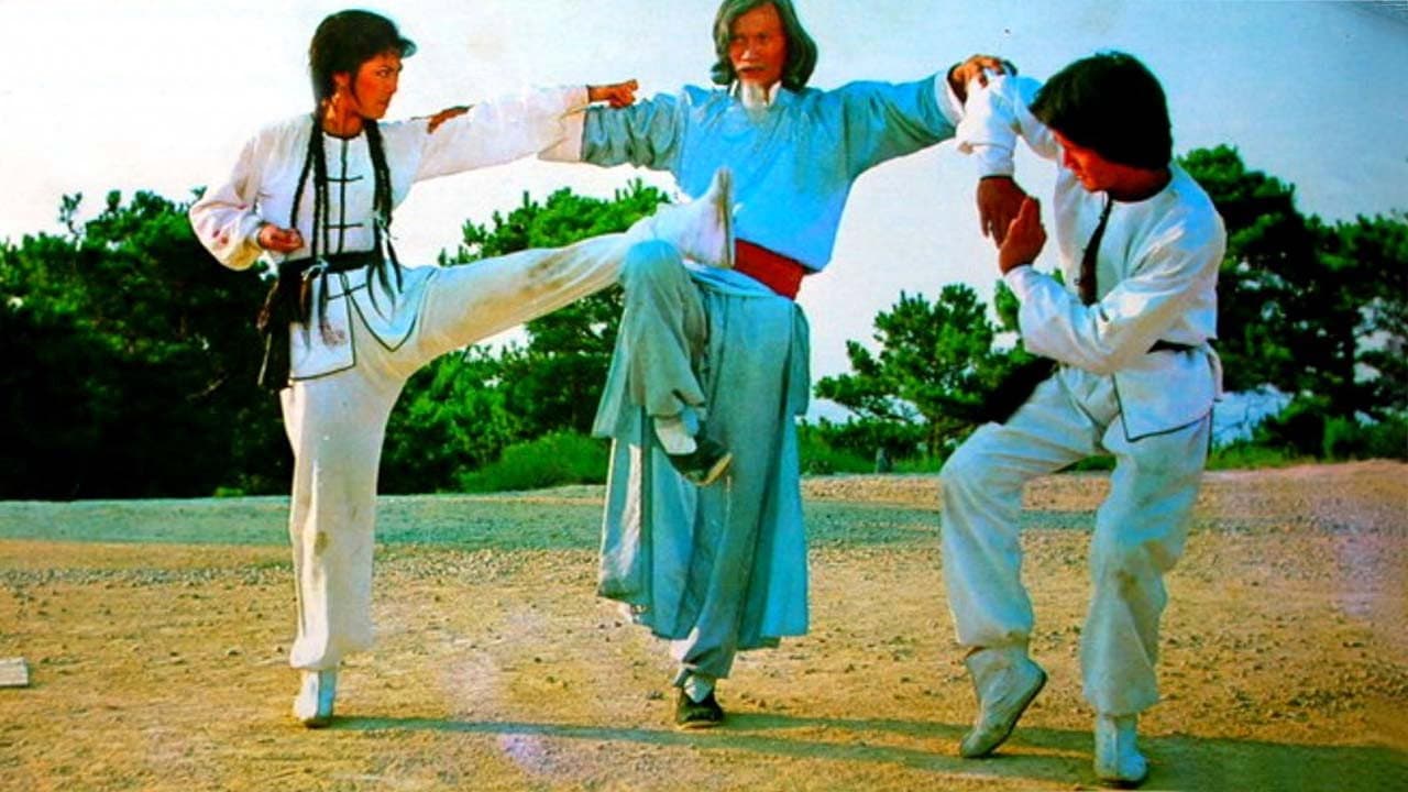 Backdrop – Twins of Kung Fu