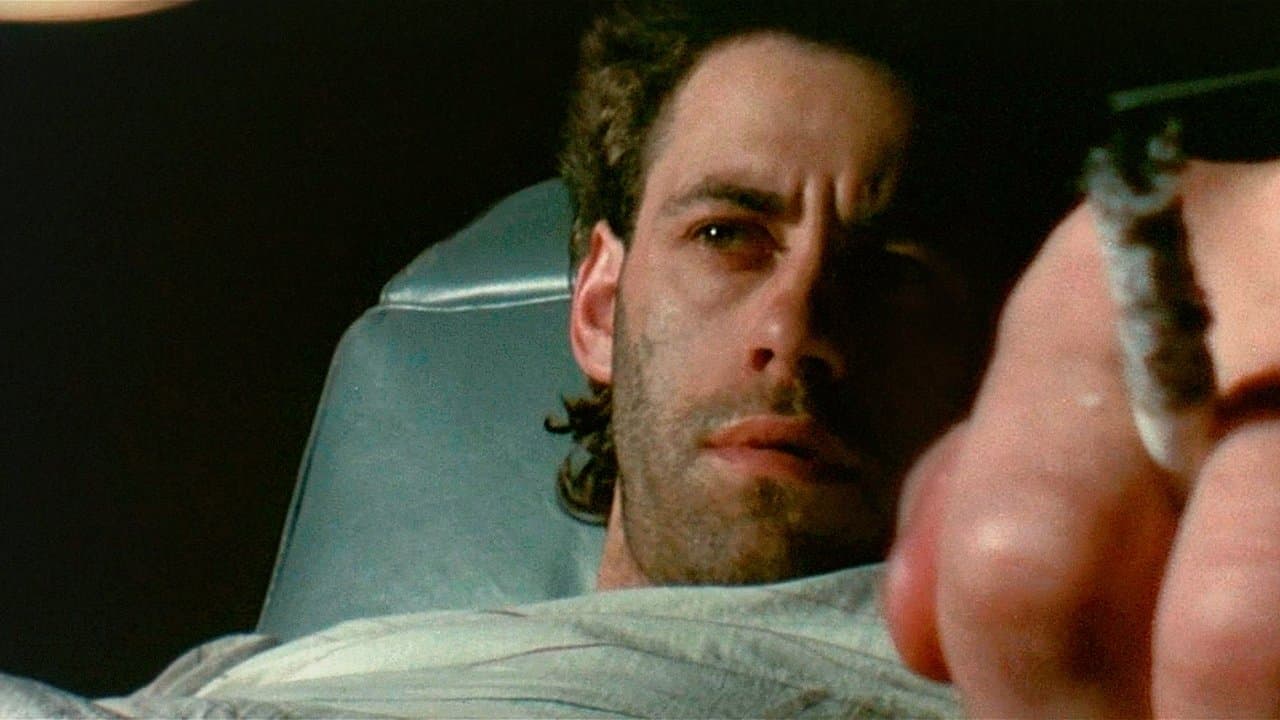 Backdrop – Pink Floyd: The Wall