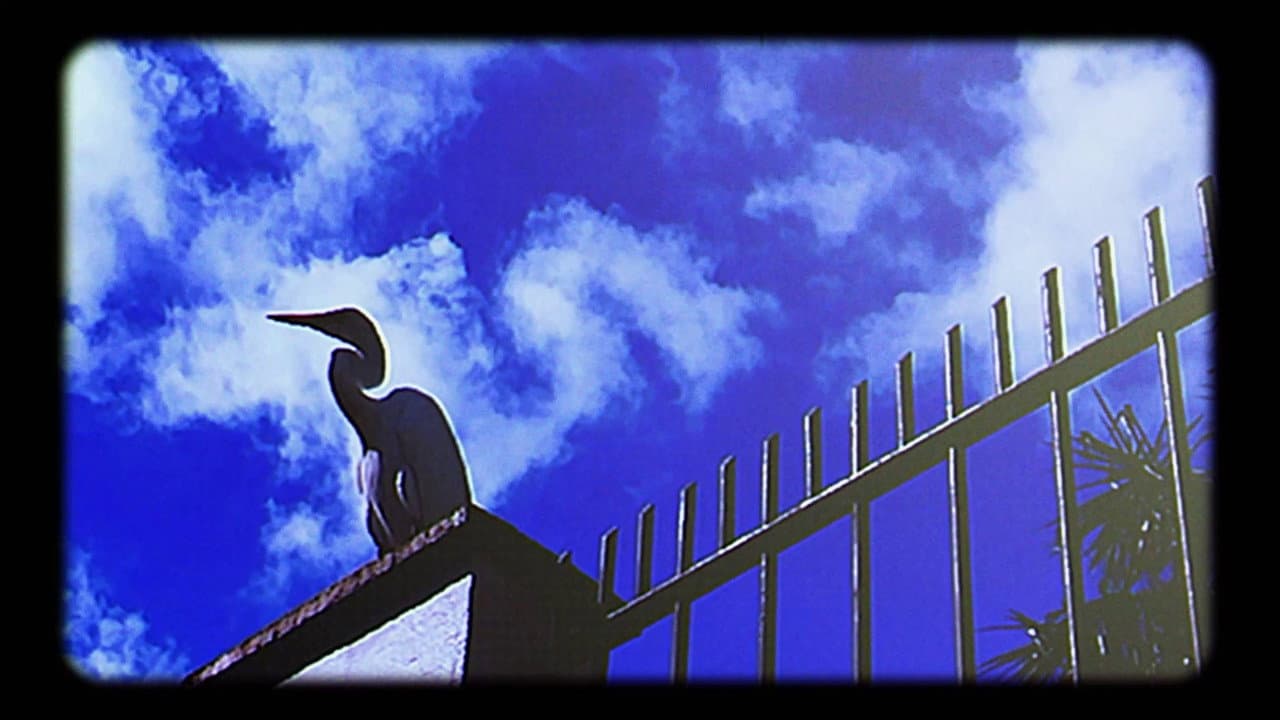 Backdrop – A Menina-Garça