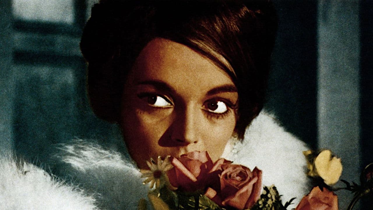 Backdrop – The Ghost