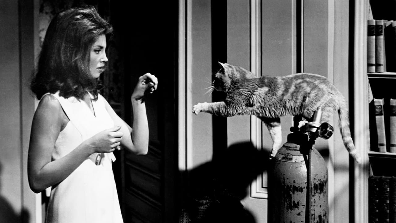 Backdrop – Grüne Augen in der Nacht