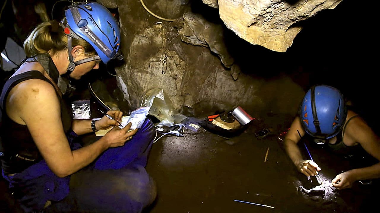 Backdrop – Stunde Null des Menschen