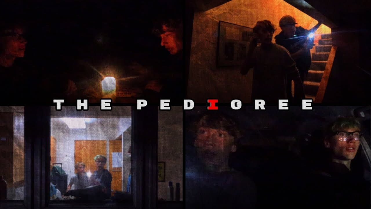 Backdrop – Pedigree