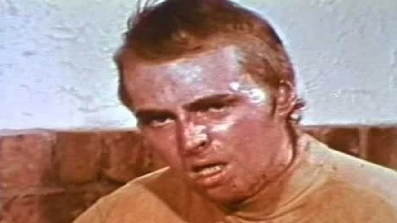 Backdrop – LSD: Trip to Where?