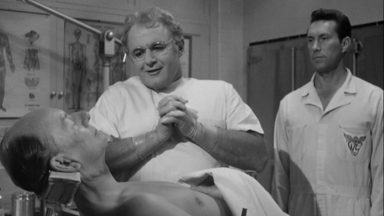 Backdrop – Tod in Hollywood