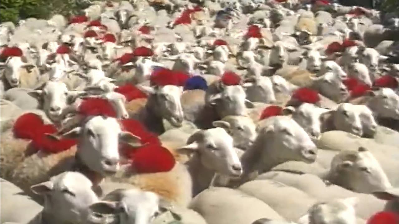 Backdrop – Berger et après