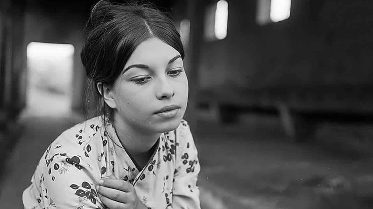 Backdrop – Bitmeyen Yol